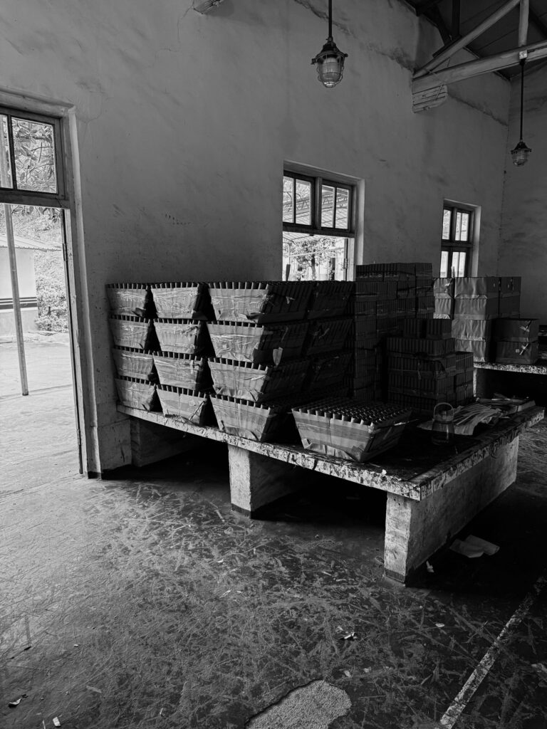 Firework Cake Manufacture