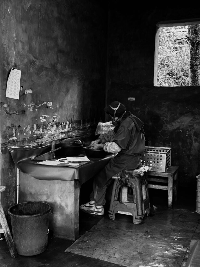 Firework Star Effects Sorting