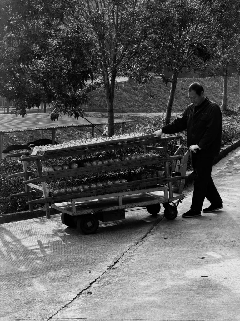 Firework Manufacture Movement